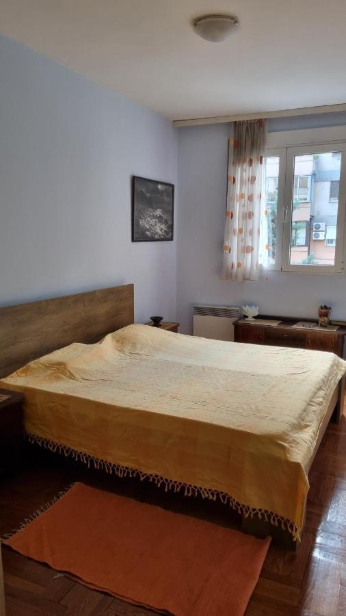 Apartment Z Podgorica Extérieur photo